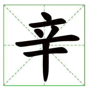 辛金人优缺点