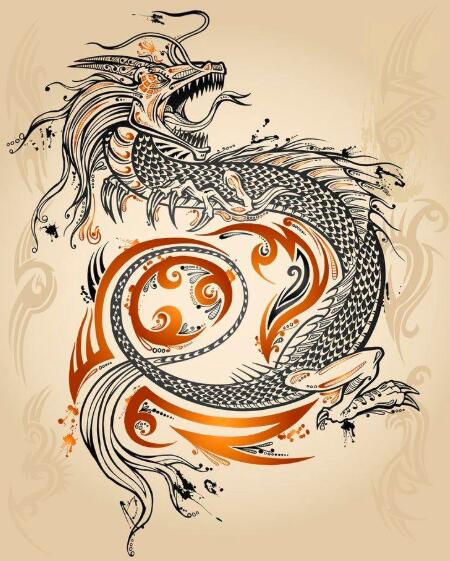 属龙的人19年感情运势