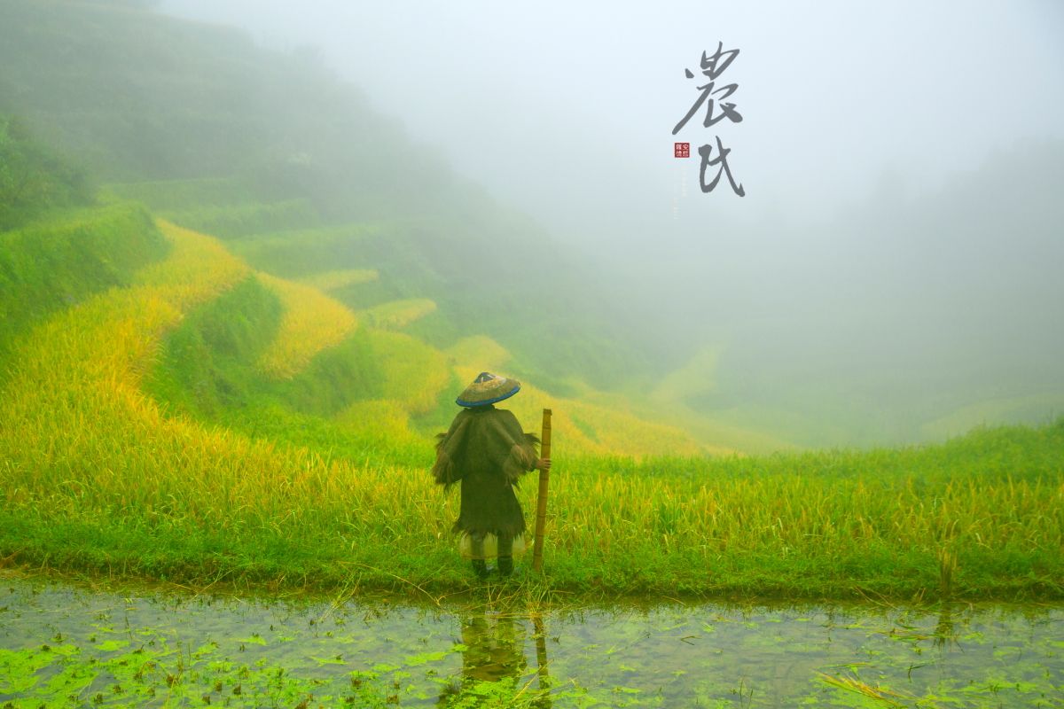 戊土取象