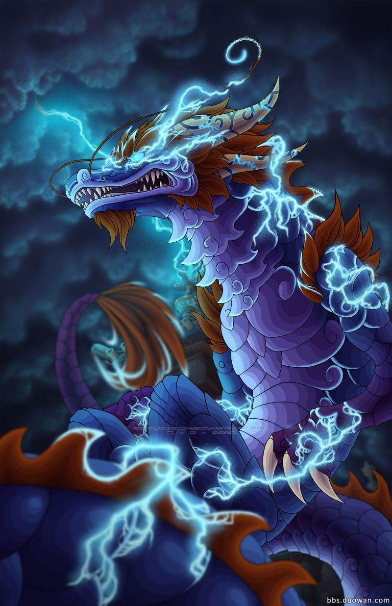 属龙的人19年财运