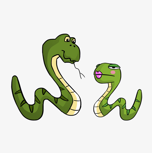 属蛇的人19年感情运势